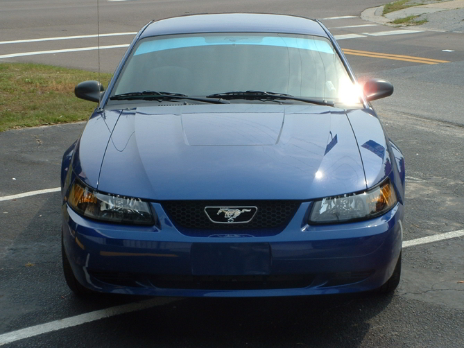 Image for Mustang BLue Fade